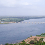 सांगलीत कृष्णामाई नदीपात्रात मृत कोंबड्या फेकल्या, प्रशासनाच्या कारवाईवर गंभीर प्रश्न