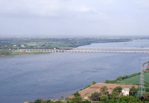 सांगलीत कृष्णामाई नदीपात्रात मृत कोंबड्या फेकल्या, प्रशासनाच्या कारवाईवर गंभीर प्रश्न