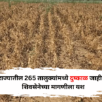 राज्यातील 265 तालुक्यांमध्ये दुष्काळ जाहीर; मराठवाड्यातील सर्वाधिक 74 तालुक्यांचा समावेश, शिवसेनेच्या मागणीला यश