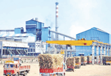 महिनाभर अगोदर गळीत सुरू केल्यास साखर उतारा घटणार; उसाला प्रतिटन किमान 500 रुपये अनुदान द्या – राजू शेट्टी