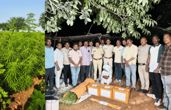 Yavatmal News (6)