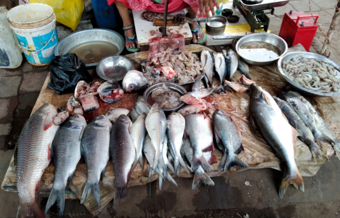 fish seller