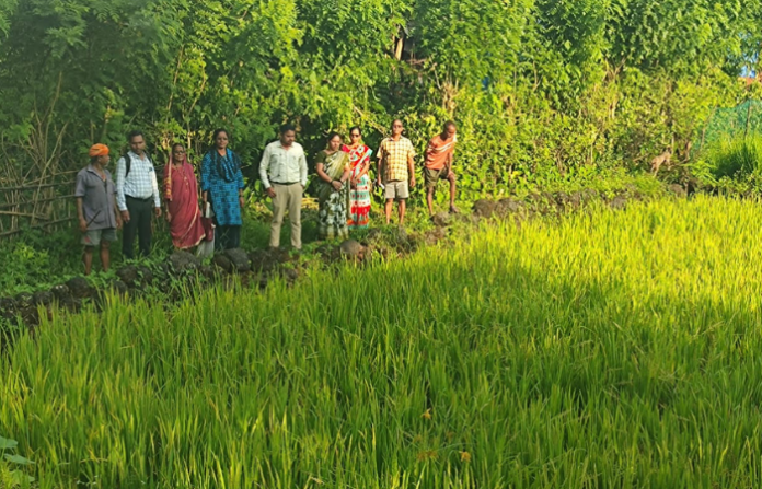 kokan news