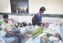 mumbai-monsoon-diseases-surge-over-4400-malaria-1500-dengue-cases-reported-till-august-bmc-issues-advisory