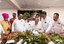 निलंगा: वाळलेले सोयाबीन तहसीलदारांच्या दालनात फेकत दुष्काळ जाहीर करण्याची मागणी, सत्ताधारी भाजपाचाच सरकारला घरचा आहेर nilanga-bjp-protest-dried-soybean-thrown-tahsildar-office-demands-drought-declaration-latur