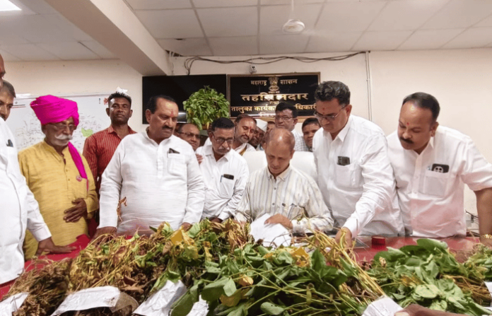 nilanga-bjp-protest-dried-soybean-thrown-tahsildar-office-demands-drought-declaration-latur nilanga-bjp-protest-dried-soybean-thrown-tahsildar-office-demands-drought-declaration-latur