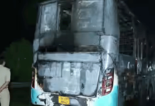 नोयडात धावत्या बसने पेट घेतला, 9 प्रवाशांचा होरपळून मृत्यू