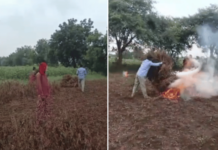 Parbhani News पावसाने दगा दिल्याने चार एकर सोयाबीनची शेतकऱ्यांनी केली होळी