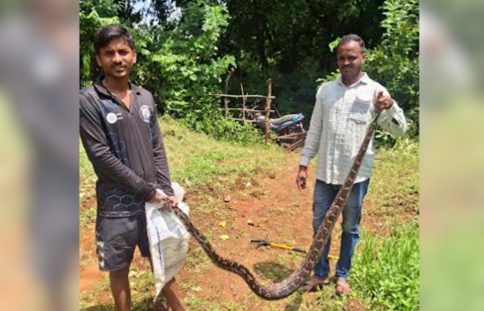 ratnagri