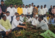 सरकारने पंचनाम्यांचा खेळ न करता आठ दिवसांत सरसकट कर्जमाफी करावी, रोहित पवार यांची मागणी