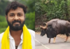 गव्याच्या धडकेत गंभीर जखमी झालेल्या स्वप्नील पेडामकर या तरूणाचा अखेर उपचारादरम्यान मृत्यू