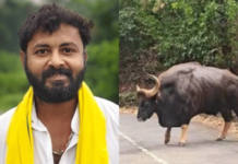 गव्याच्या धडकेत गंभीर जखमी झालेल्या स्वप्नील पेडामकर या तरूणाचा अखेर उपचारादरम्यान मृत्यू