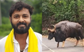 गव्याच्या धडकेत गंभीर जखमी झालेल्या स्वप्नील पेडामकर या तरूणाचा अखेर उपचारादरम्यान मृत्यू