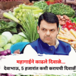 महागाईने काढले दिवाळे… देवाभाऊ, पाच हजारांत कशी करायची दिवाळी?