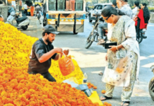 दसऱ्याच्या मुहूर्तावर झेंडूची विक्रमी आवक; 30 ते 70 रुपये किलो भाव, खरेदीसाठी गर्दी