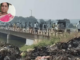 Nanded News – मन्याड नदीत कार कोसळून भीषण अपघात; पत्नीचा मृत्यू, तर पती थोडक्यात बचावला
