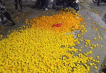 Nanded News – दुष्काळाने पिके हिरावली, दसर्याला झेंडूही रस्त्यावर! शेतकर्यांच्या कष्टांची माती