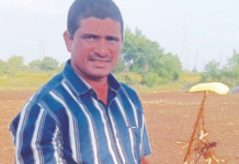 खरीप गेला, आता रब्बीच्या पिकाची आस! उभ्या पिकावर नाही तर पोटावरच रोटर फिरवला