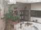Yavatmal News – बाबाजी दाते महिला सहकारी बँक प्रकरणाचा तपास; ईडीची धाड, अशोक कंचलवार यांच्या घरी झडती