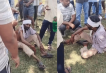 Chandrapur News – वाघाच्या हल्ल्यात गुराखी जखमी, पोंभूर्णा तालुक्यातील घटना