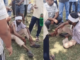 Chandrapur News – वाघाच्या हल्ल्यात गुराखी जखमी, पोंभूर्णा तालुक्यातील घटना