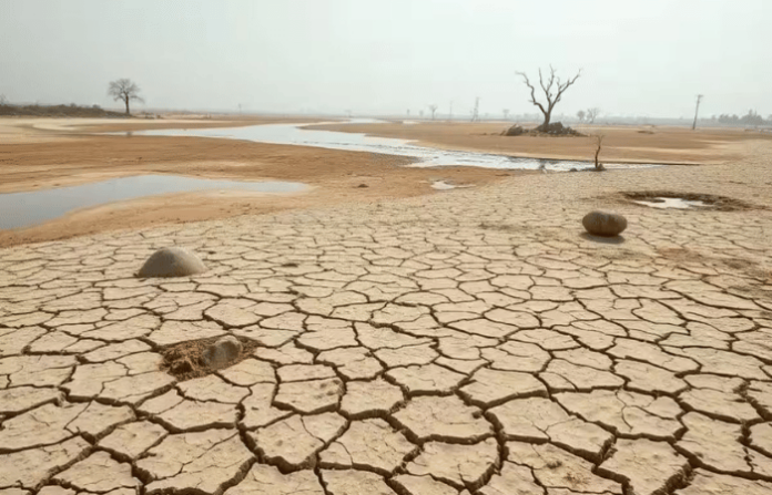 drought