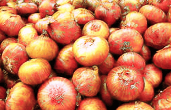 egyptian onion