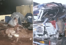 मध्य प्रदेशमध्ये भीषण अपघात, भरधाव ट्रक भाविकांना चिरडत मंदिरावर धडकला; १२ जणांचा मृत्यू