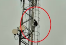 शोले स्टाईलचा थरार! प्रेयसीने लग्नाला नकार दिल्याने तरुण थेट मोबाईल टॉवरवर चढला