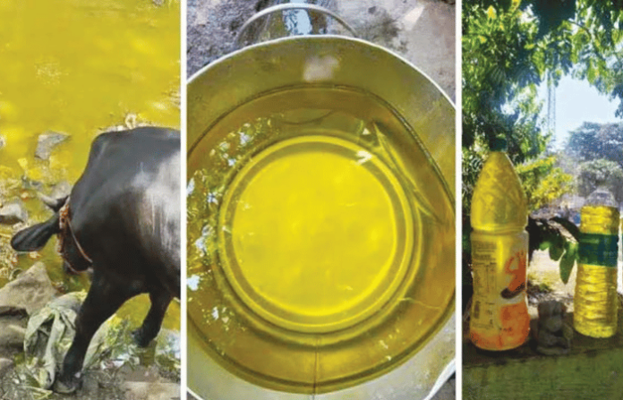 nashik polluted water