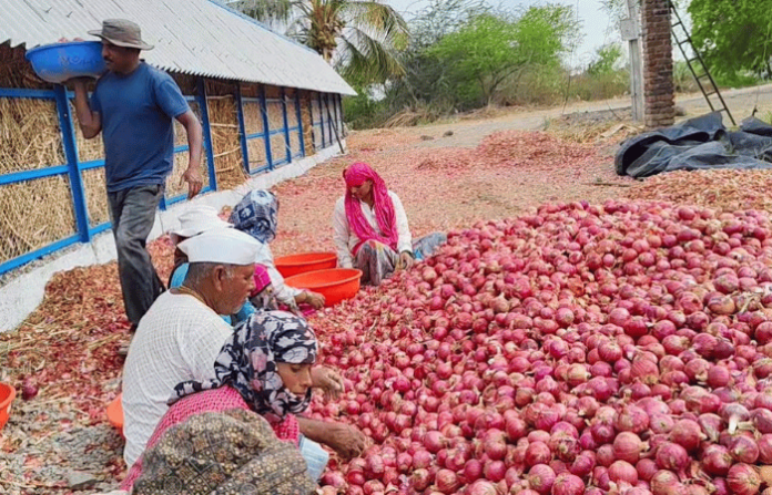 onion seller