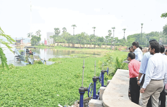 powai lake