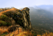 ठाण्यातील तरुणाची टकमक टोकावरून उडी मारून जीवन संपवले