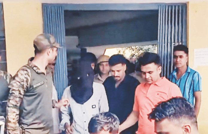 tiger accused