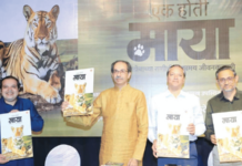 शंभर दिवस शेळीसारखे जगण्यापेक्षा एक दिवस वाघासारखे जगा – उद्धव ठाकरे