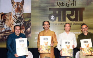 शंभर दिवस शेळीचे जगण्यापेक्षा एकच दिवस पण वाघासारखे जगा! – उद्धव ठाकरे